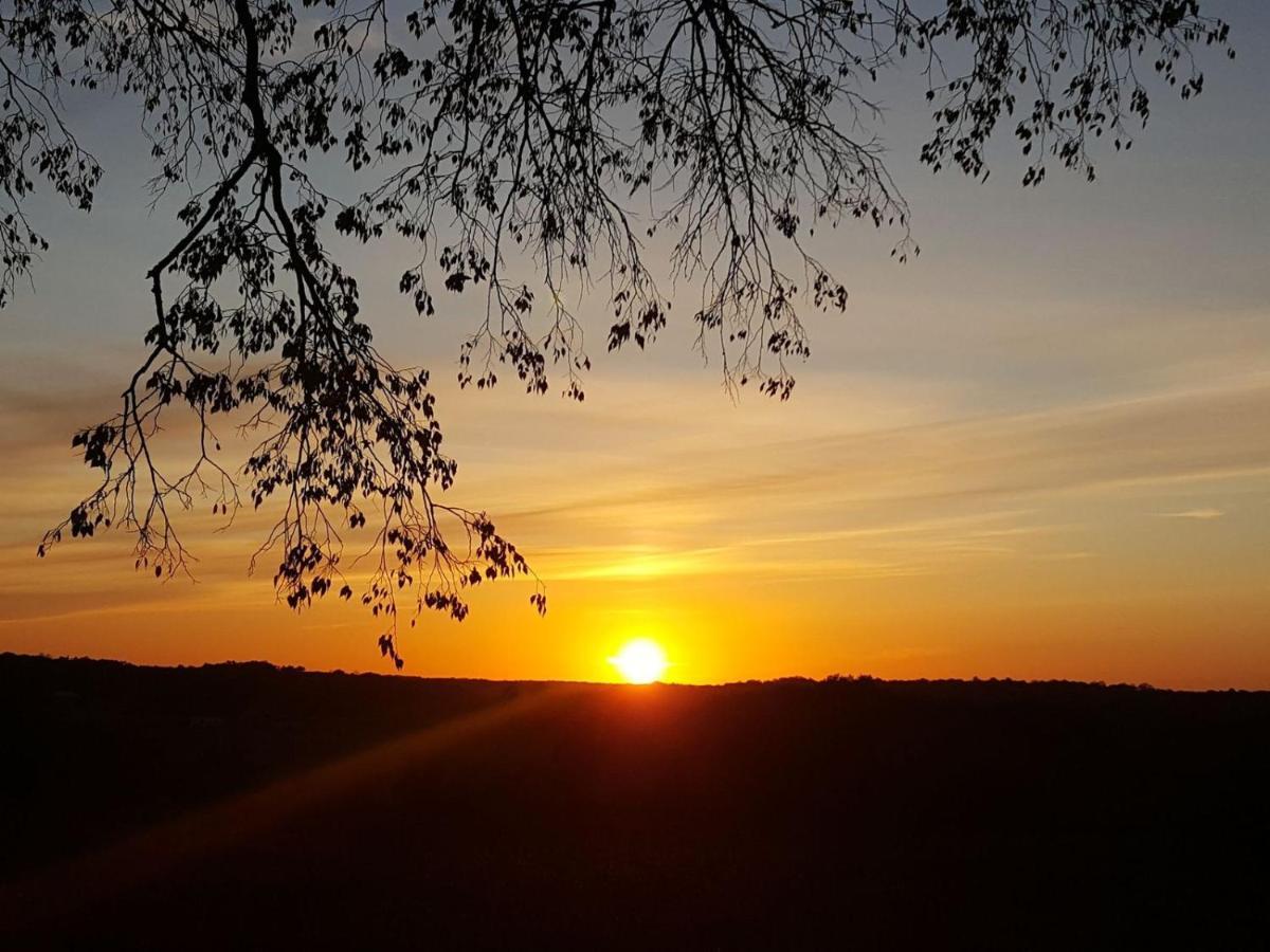 Lpc Dordogne Holidays - Le Petit Coin Lussas-et-Nontronneau 外观 照片
