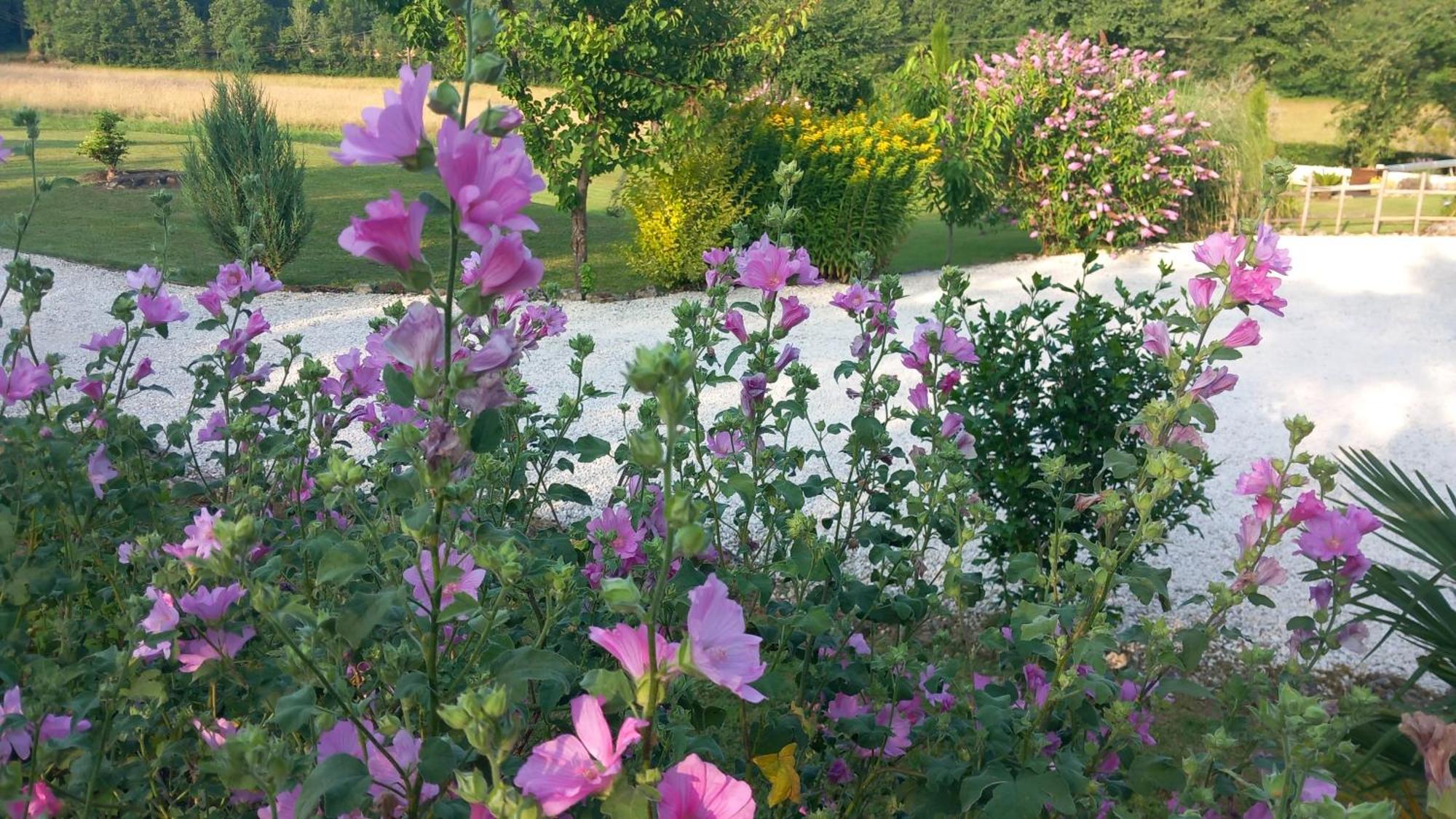 Lpc Dordogne Holidays - Le Petit Coin Lussas-et-Nontronneau 外观 照片